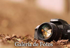 bt-fotos-ampuero