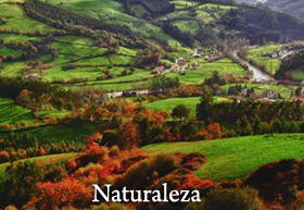 bt-naturaleza-ampuero